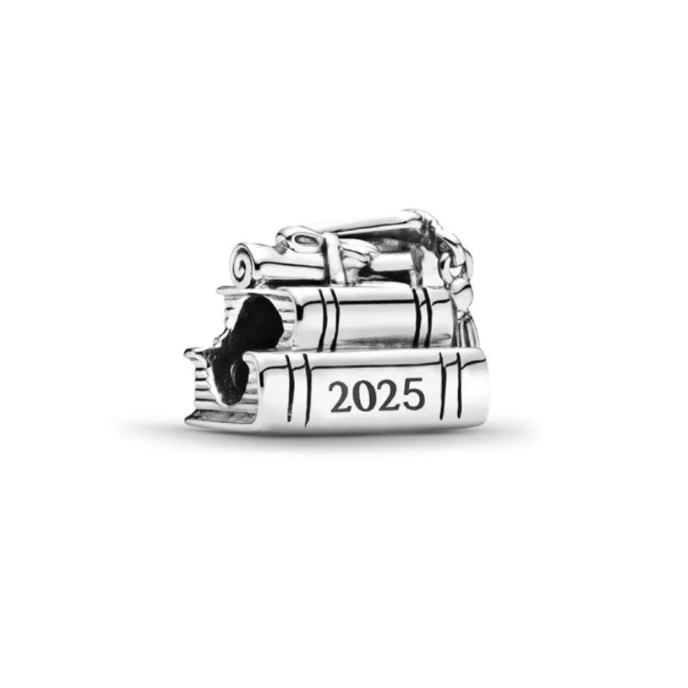 2025 neue 925 Silber Graduieru – Women Bags Trend 2025 Bewertung und Preis
