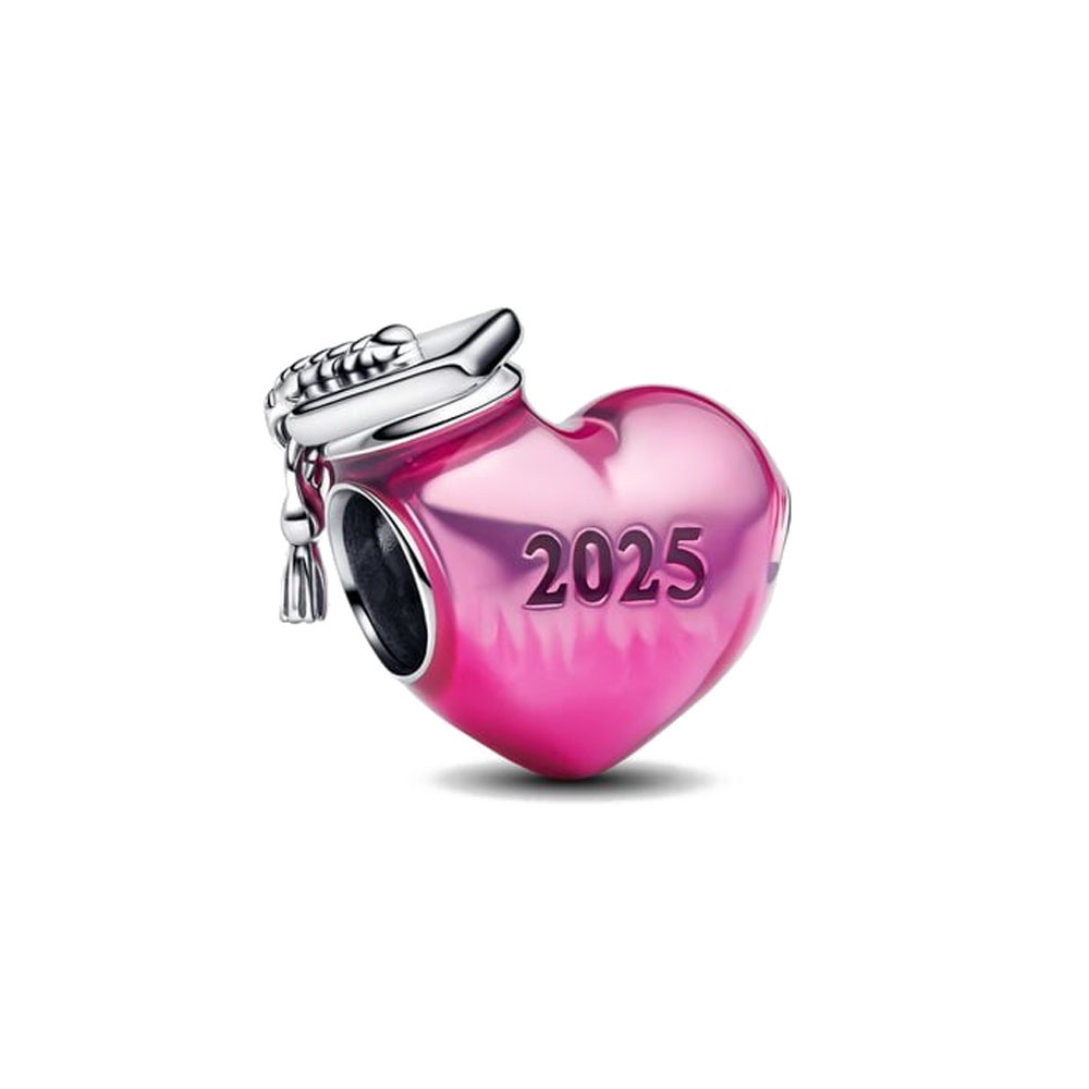 2025 neue 925 Silber Graduieru – Women Bags Trend 2025 Bewertung und Preis